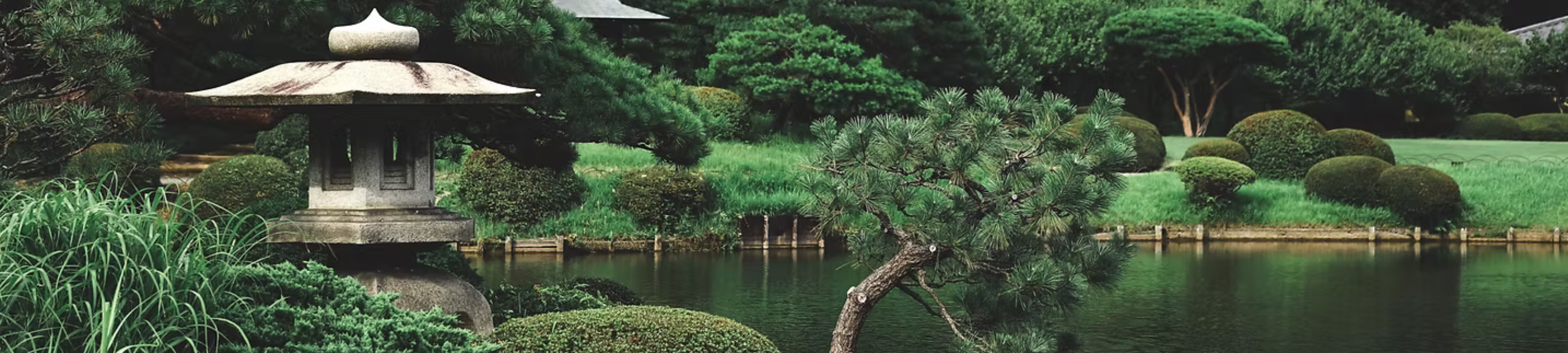 Zen Legal Pty Ltd cover