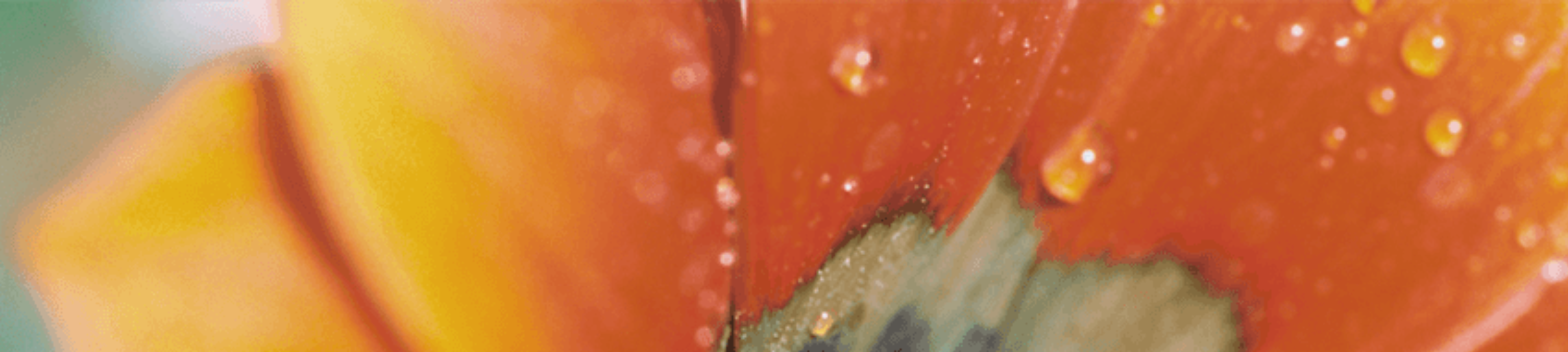 Baker Wilson Davies cover