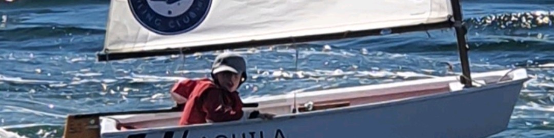 Sel McCrickard cover