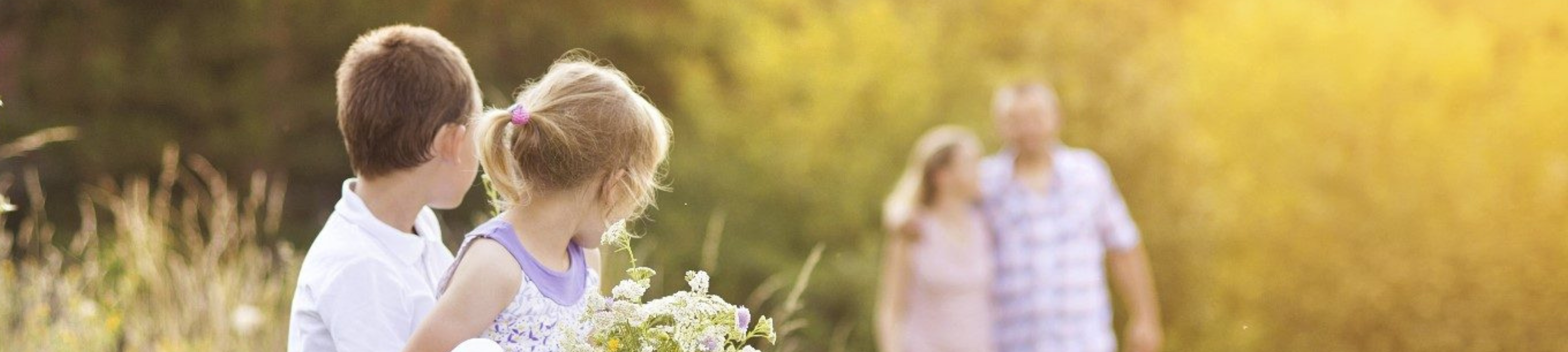 Emmerson & Emmerson Solicitors cover