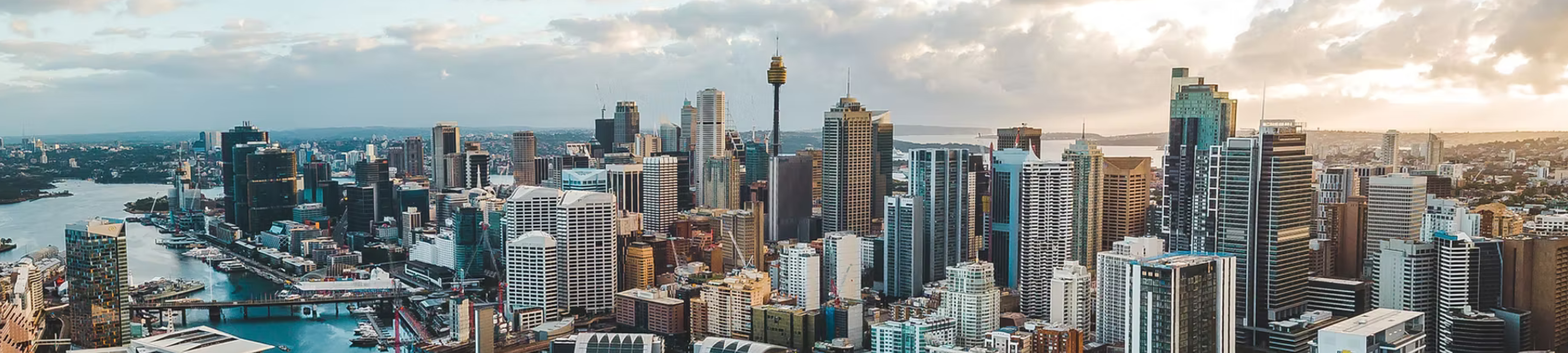 Andriano & Associates cover