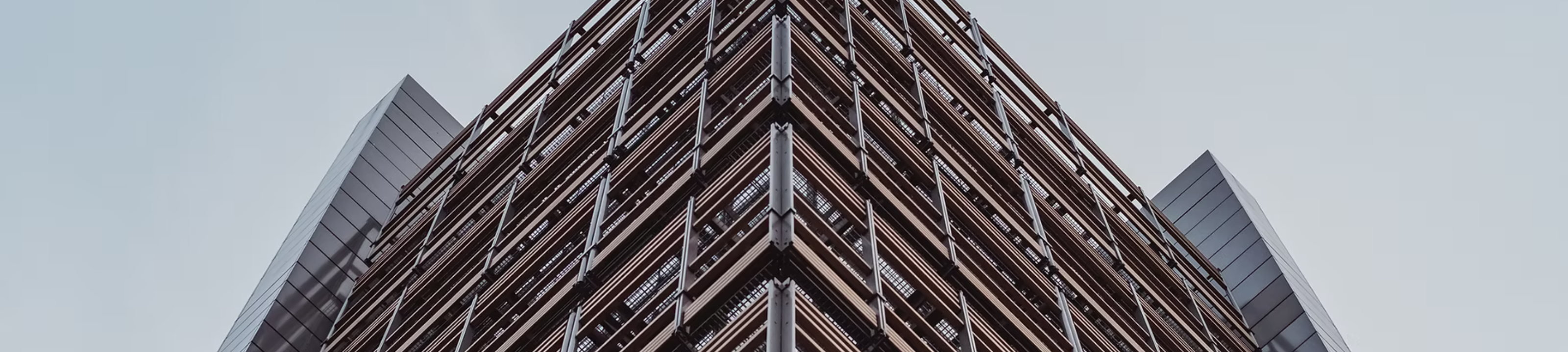 Caroline Nguyen cover