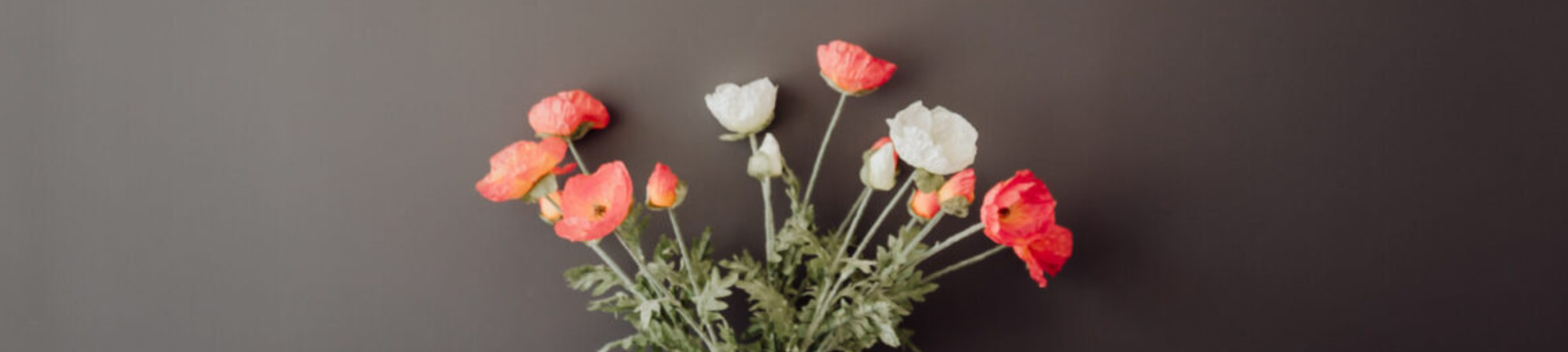 Alexander McKenzie cover