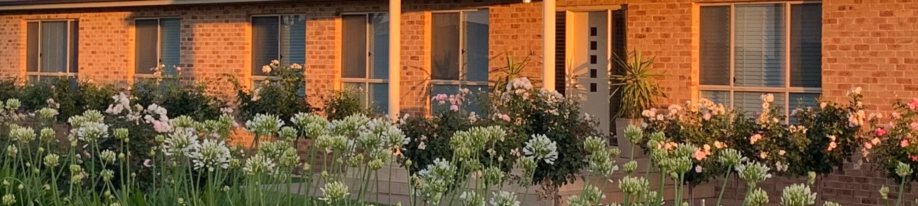 Your Property Matters (NSW) cover