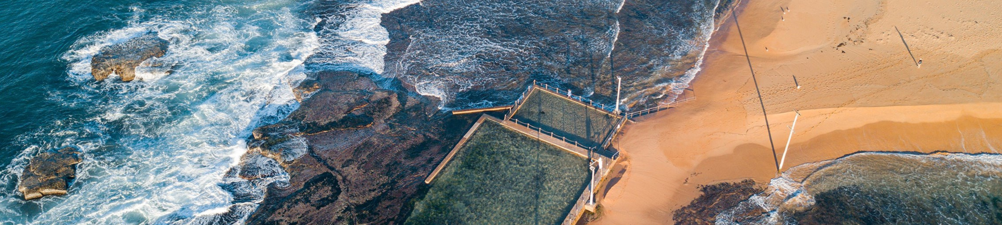 Alexandra Monteiro Willcock cover