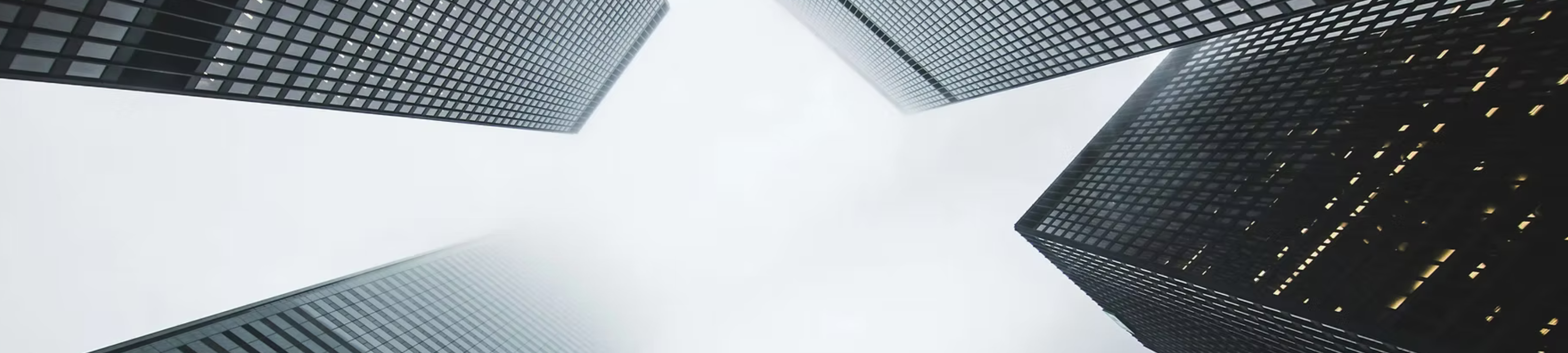 Brendan Tynan-Davey cover