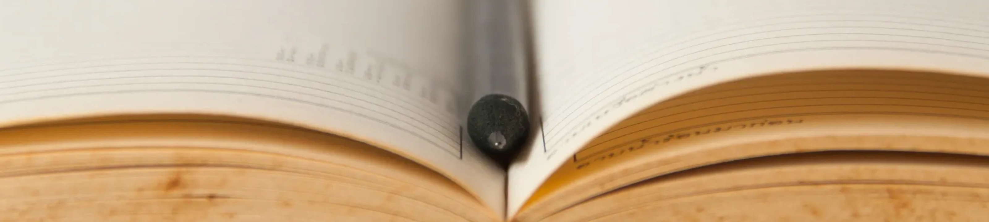 Jonathan Green cover