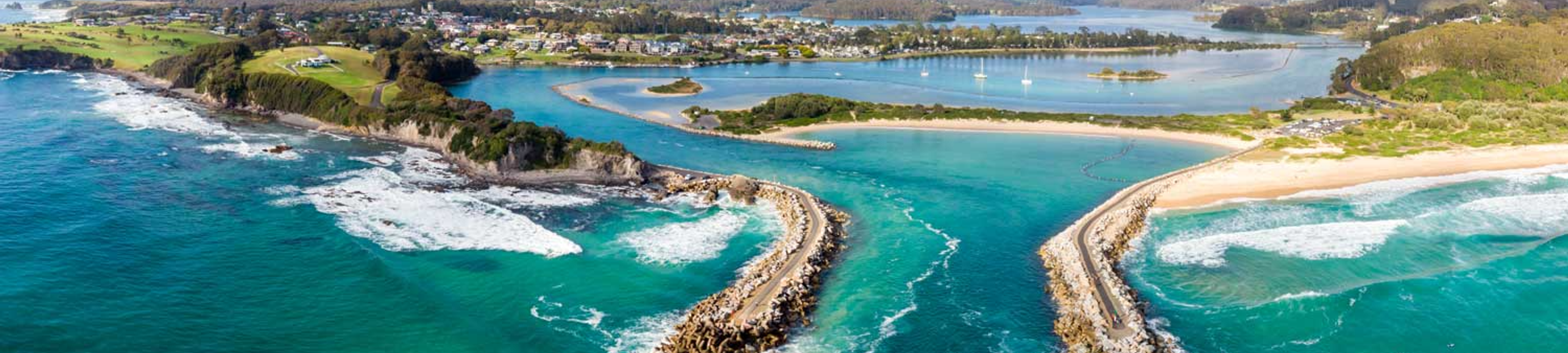 Olivia Koltsis cover