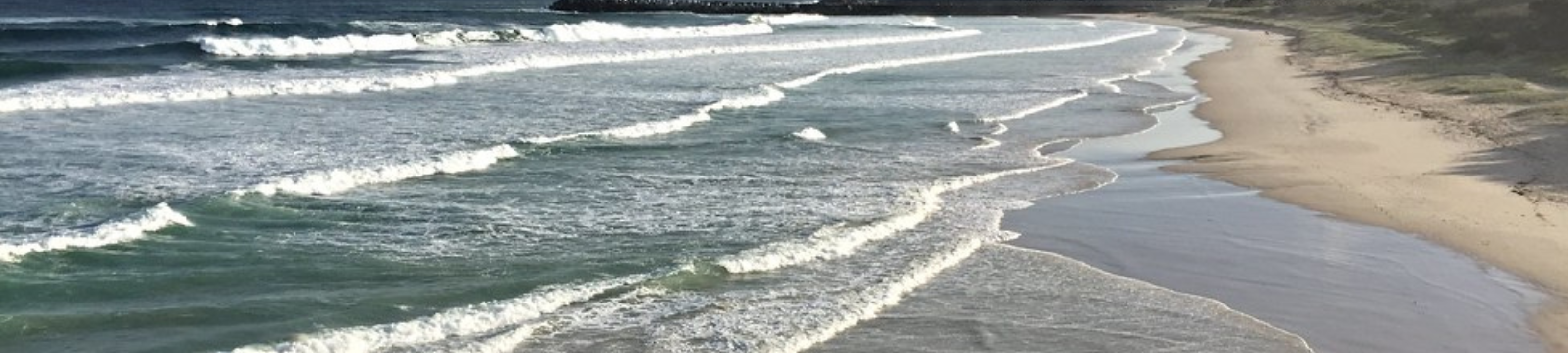 Baker Mannering and Hart  cover