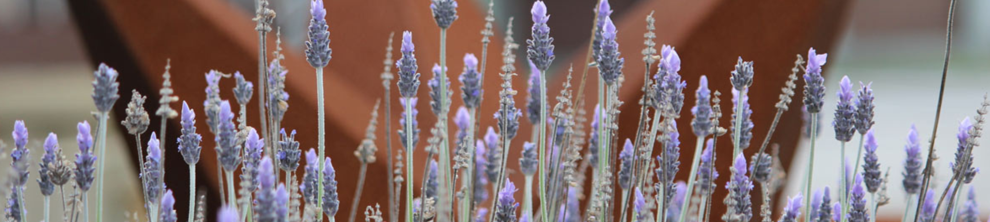 Kristen Vienna cover