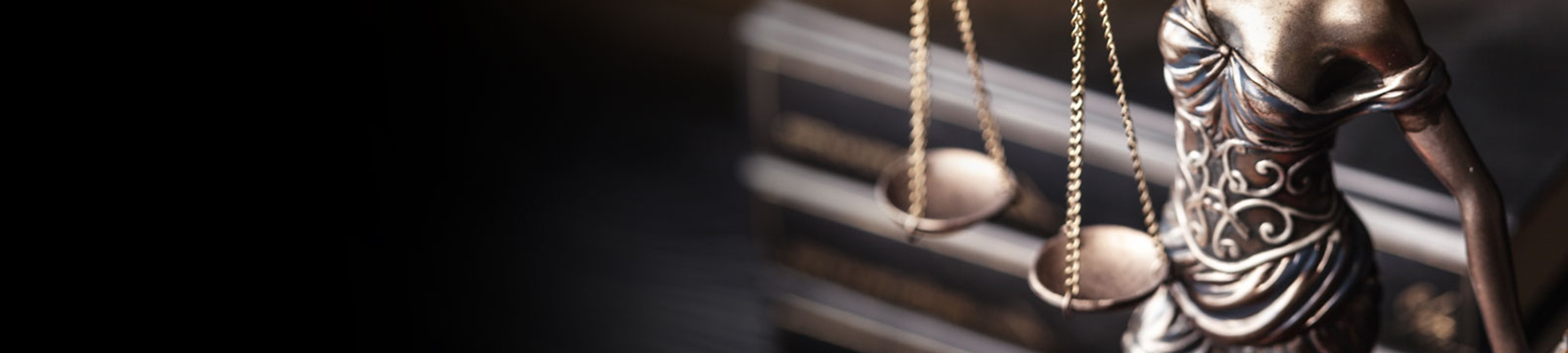 Baarni Lawyers cover