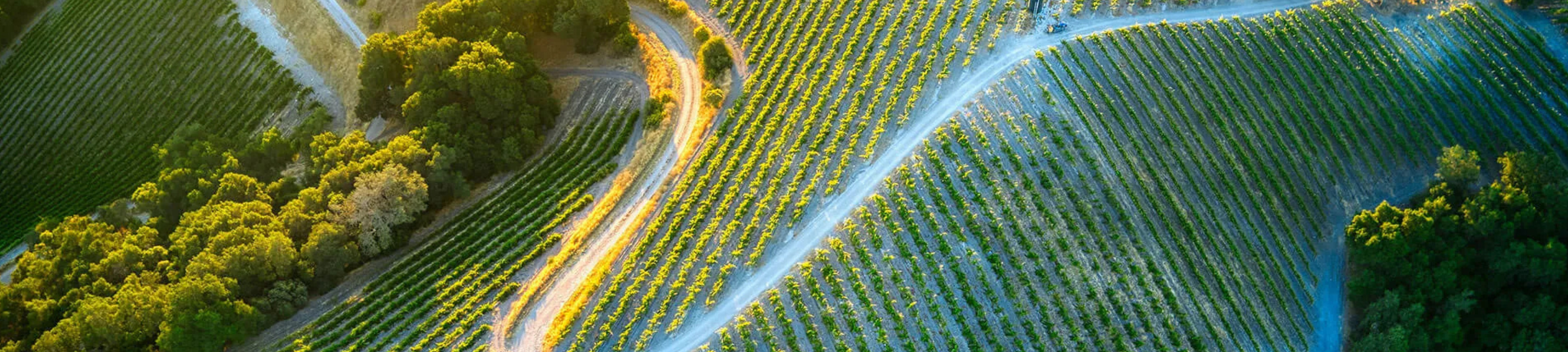 Jack Hutchinson cover