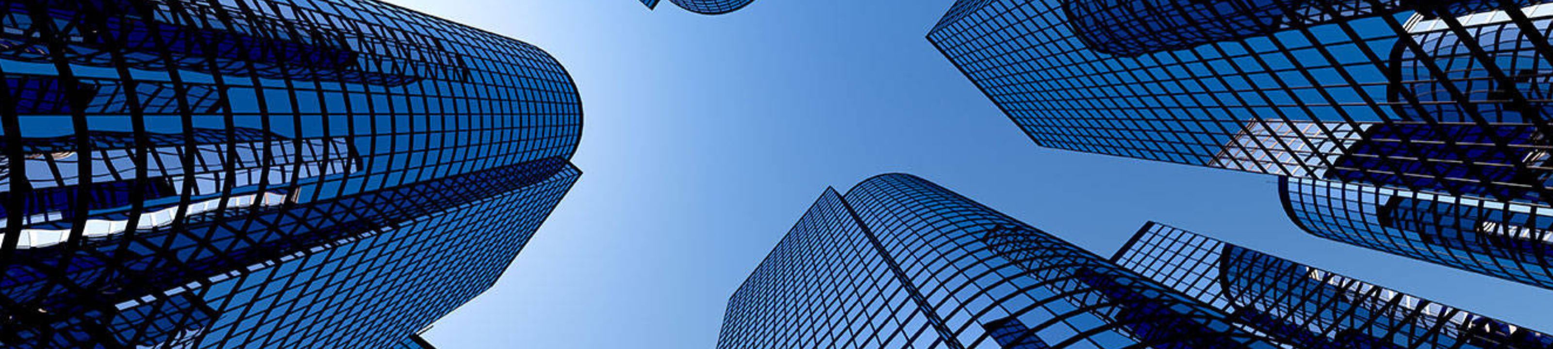 E. Berman & Co cover