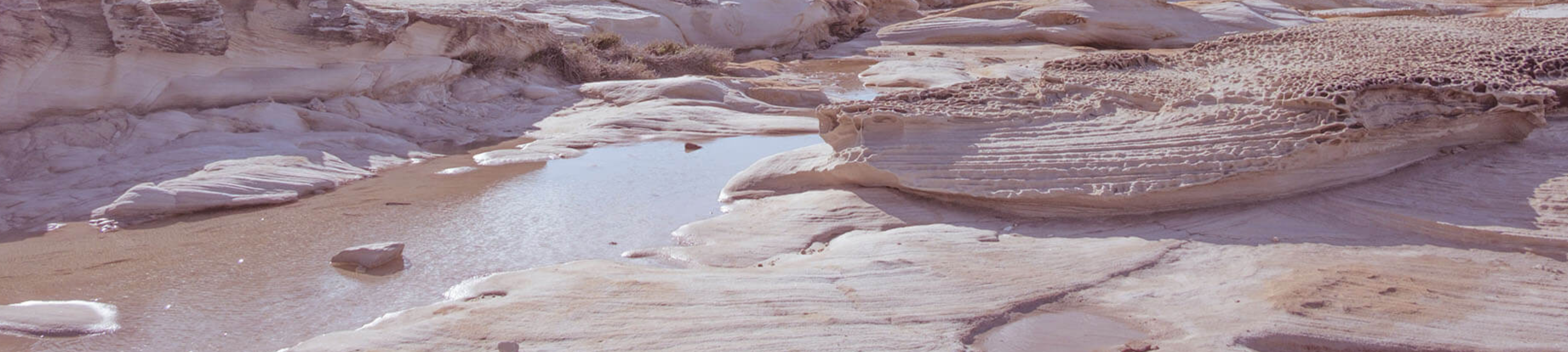 Laurelle Desbruslais cover