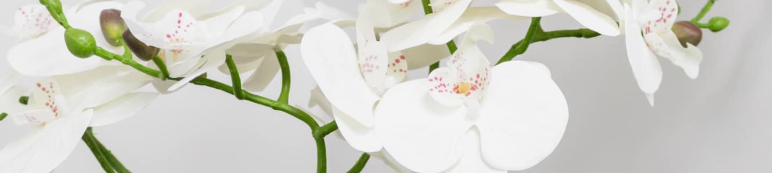 Martin Culleton cover