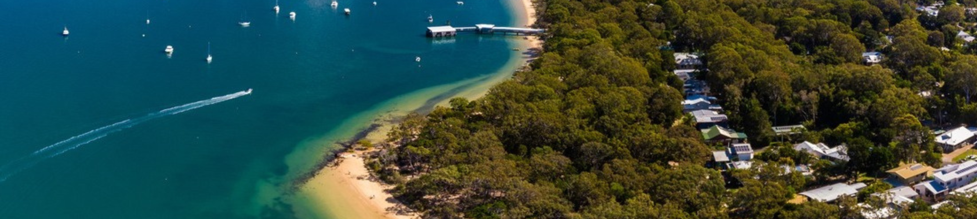 Bickell & Mackenzie cover