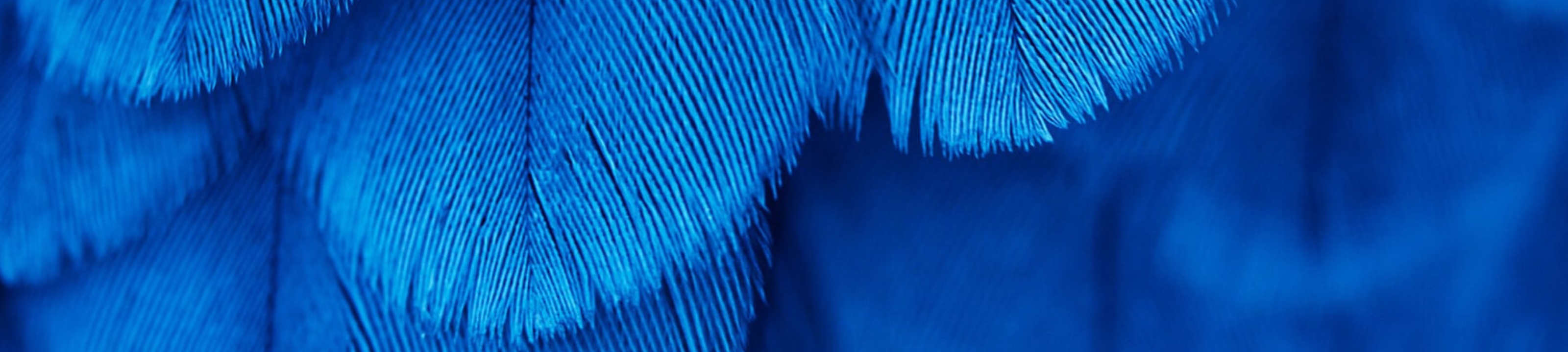 Collier Family Law cover