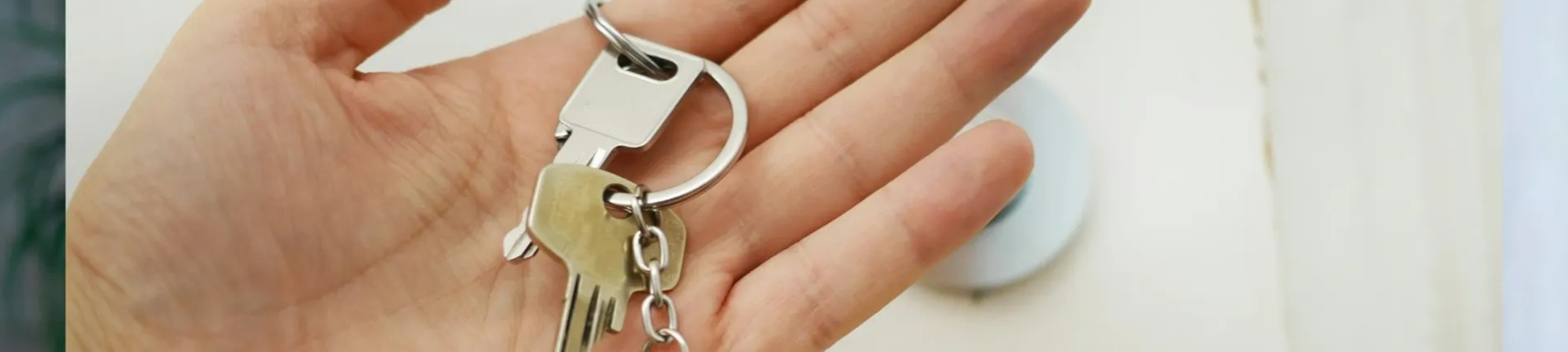 Conveyancing Now NSW cover