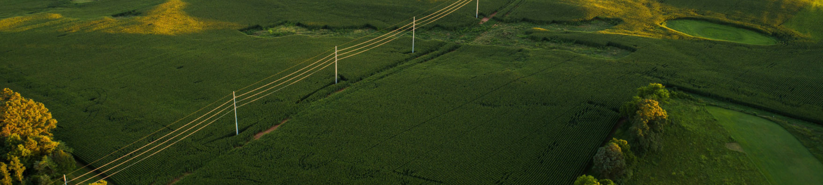 Elringtons Lawyers cover