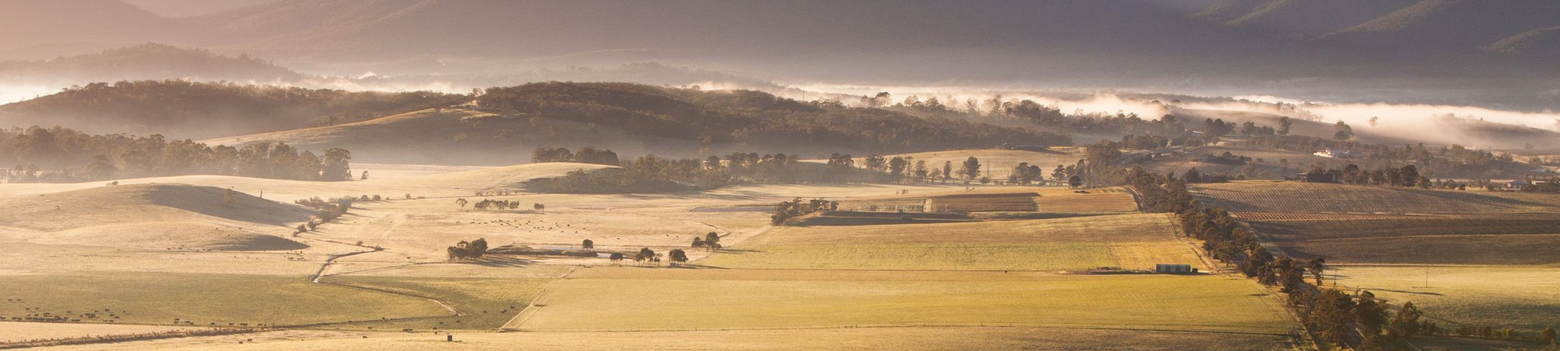 Rush & Hampshire cover