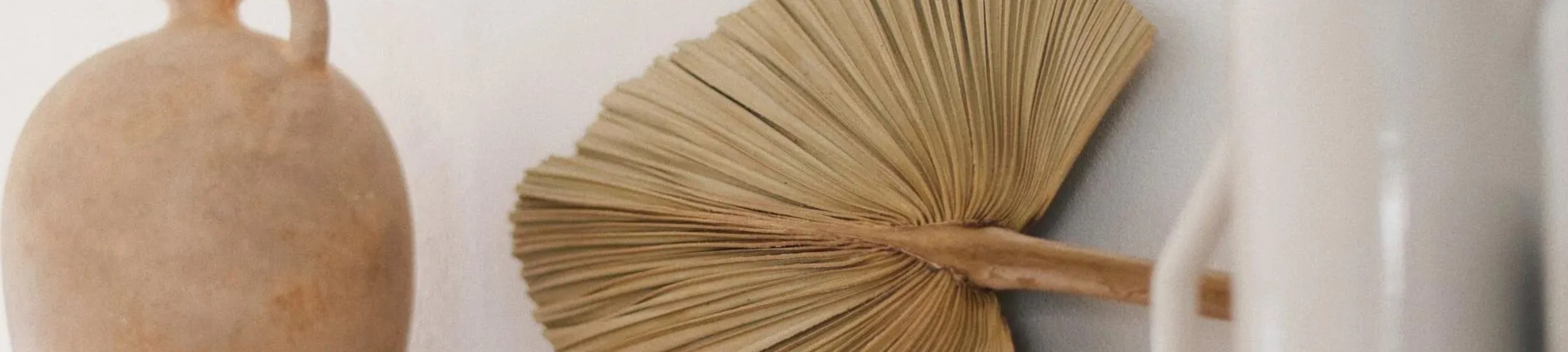 East Maitland Conveyancing cover