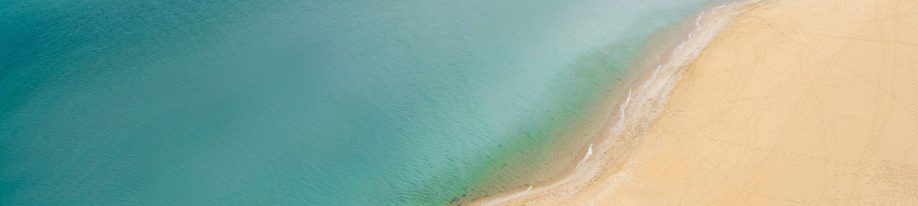 Christine Sedrak cover