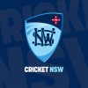 Standing Chair - Cricket NSW Integrity Tribunals and Judiciary Committee