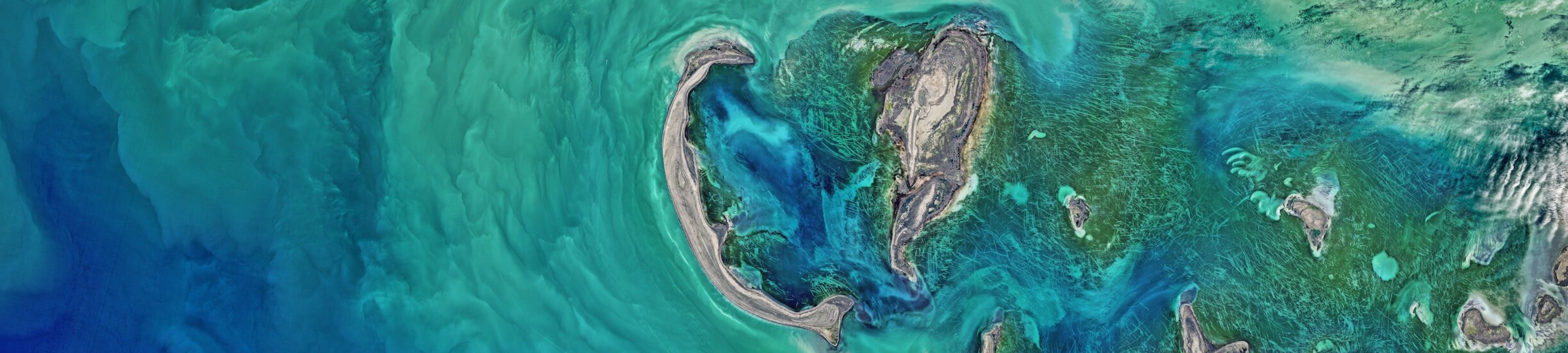 One Planet Migration Law cover