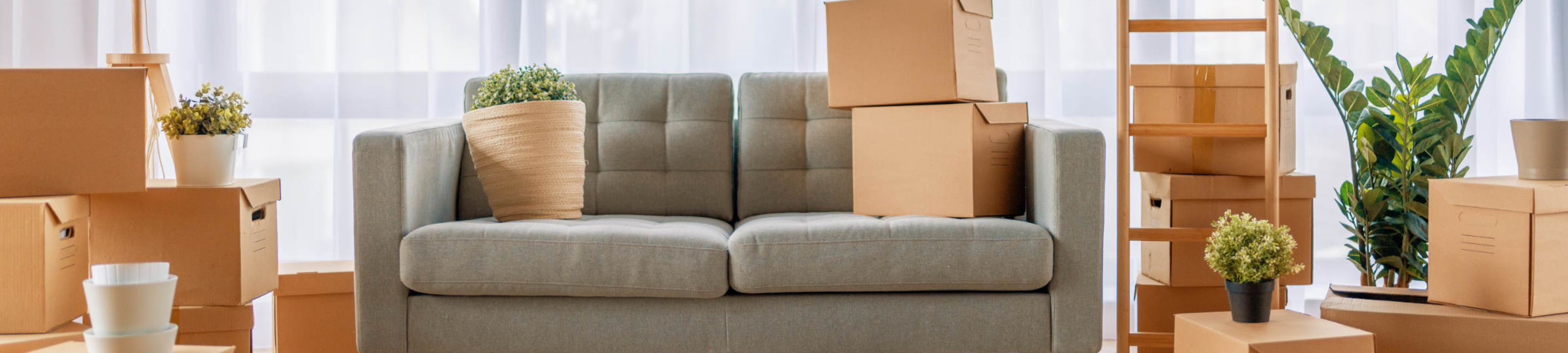 McLaren Lawyers cover