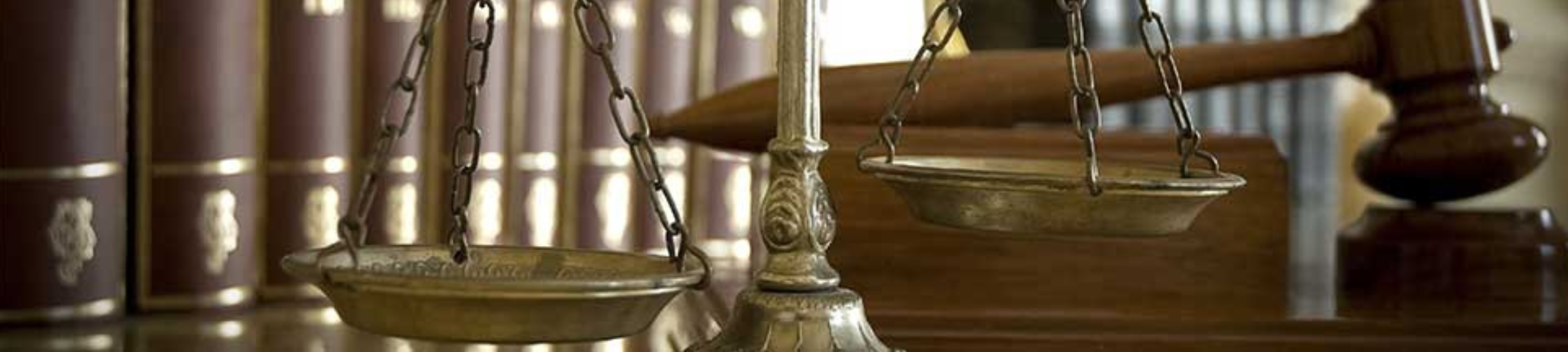 Walker Hedges Forestville cover