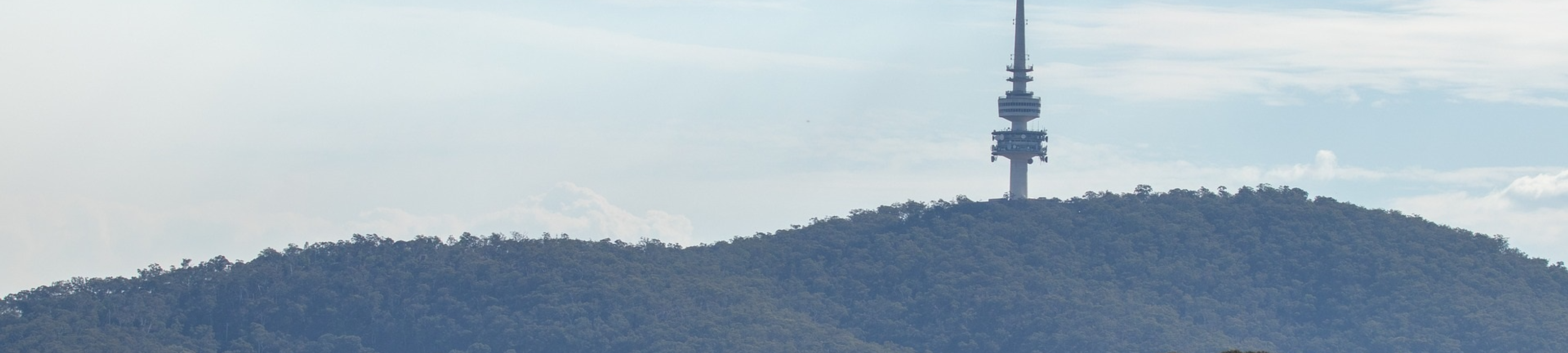 Bedfords Legal cover