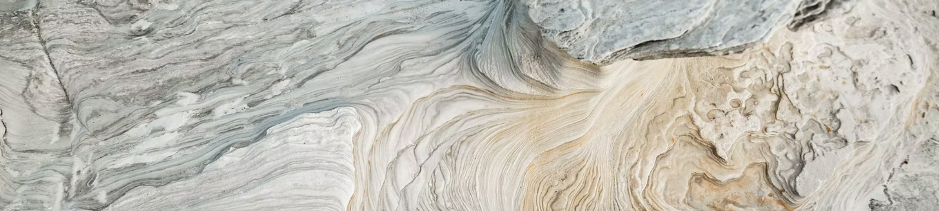 Redman Lynch Washington cover