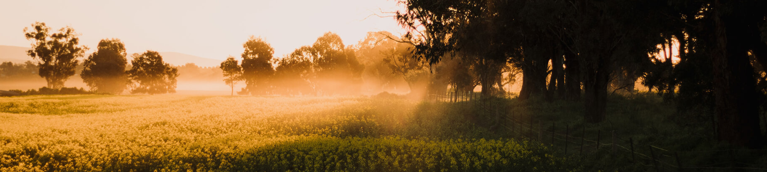 Samantha Priestland cover