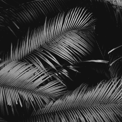 Susan Goodsell from Good Law