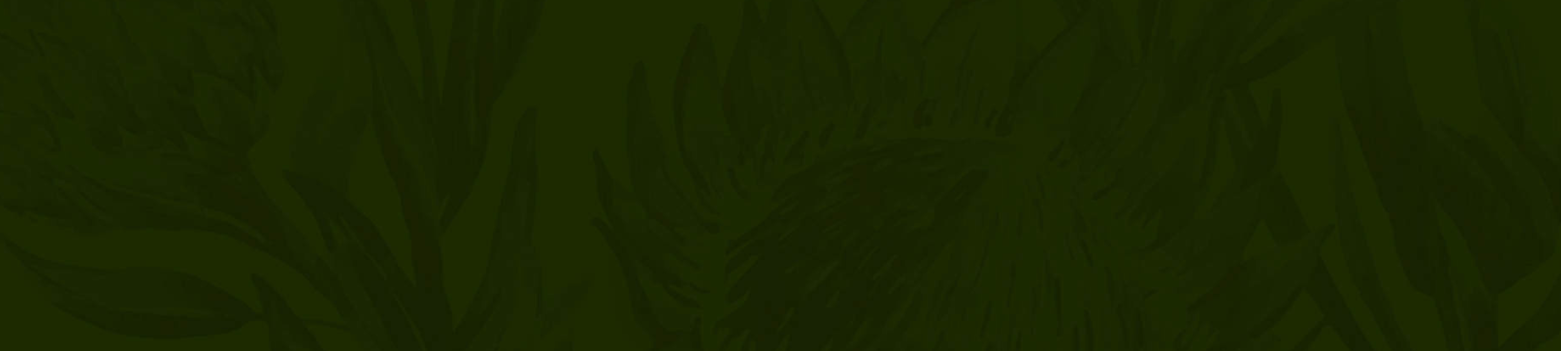 Heydons Lawyers & Attorneys cover