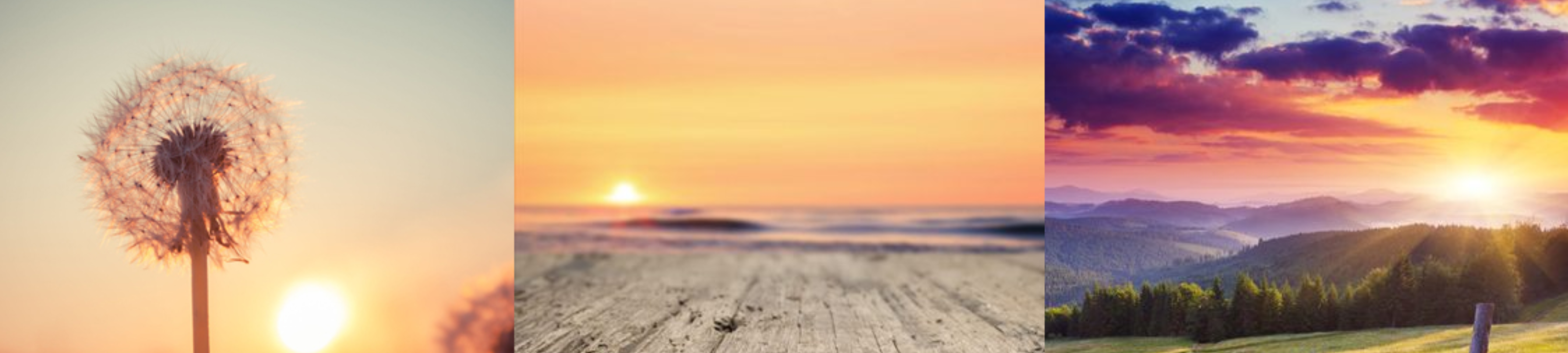 Annette Esposito cover