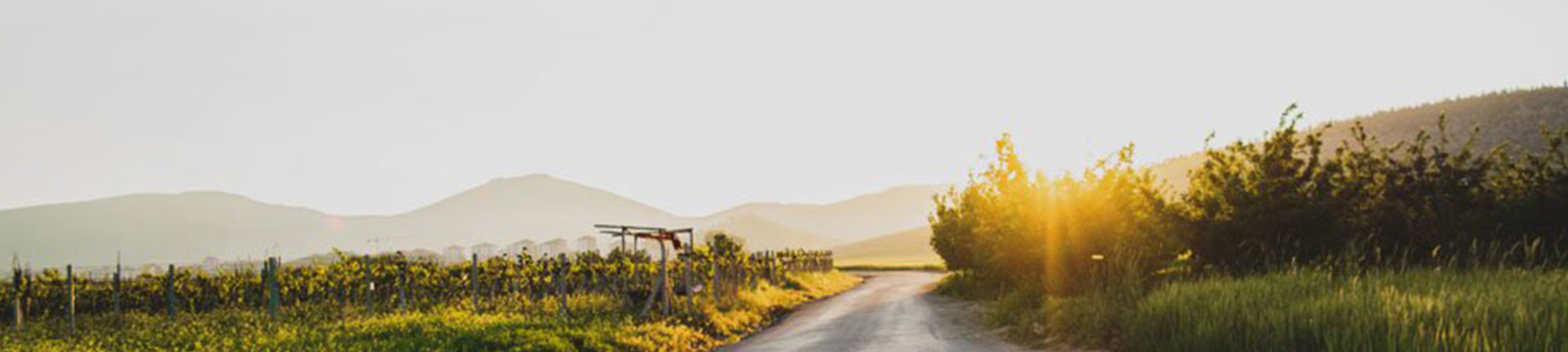 Shannon Hubert cover