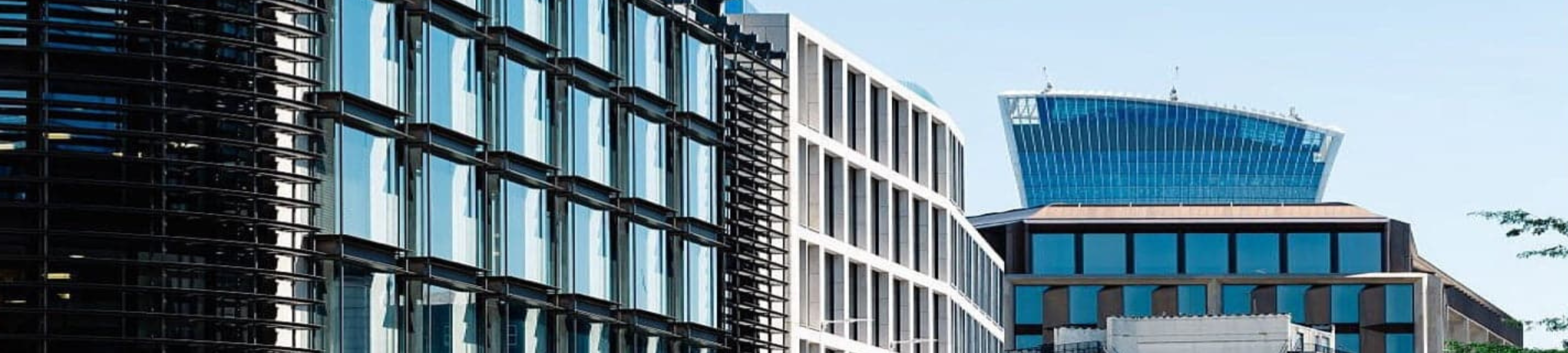 Christina Fawkes cover