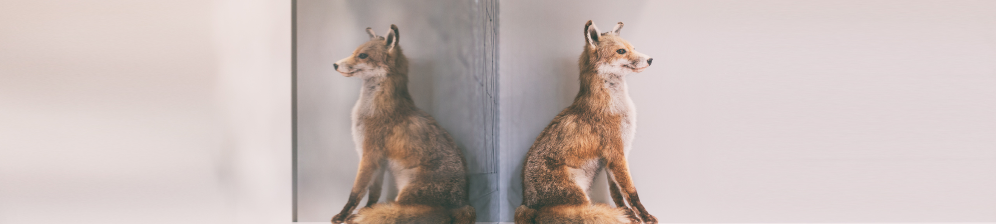 Melanie Wilson cover