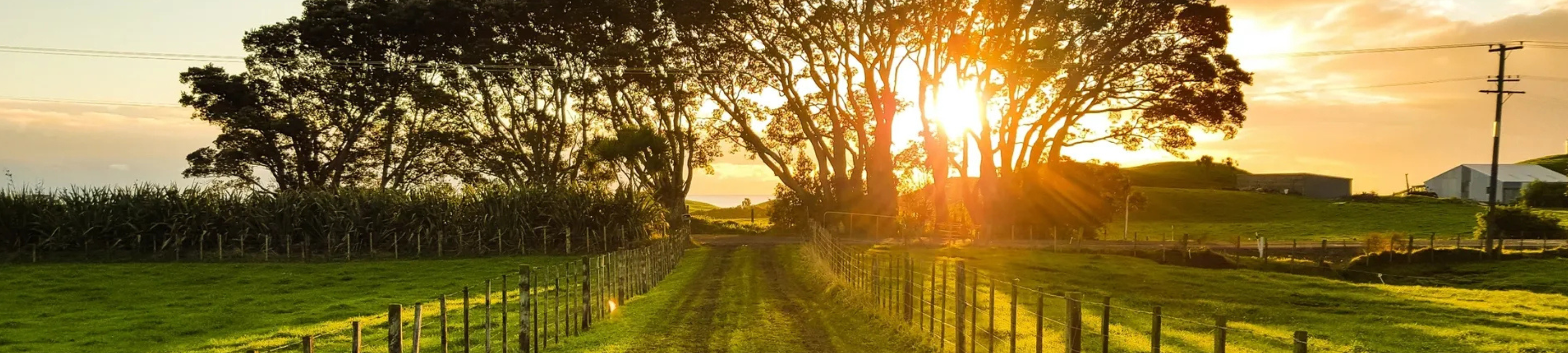 Parkview Legal cover