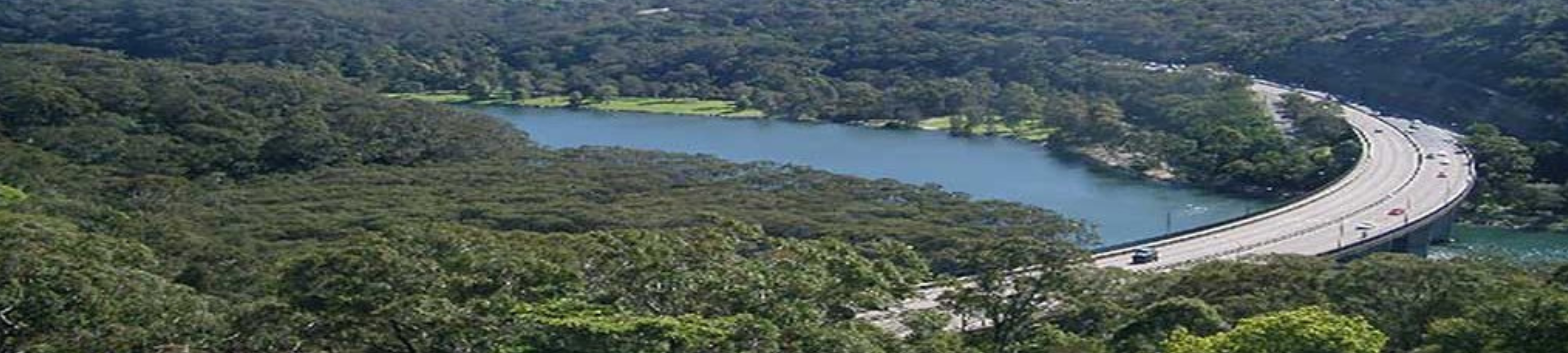 Julie Lobascher cover