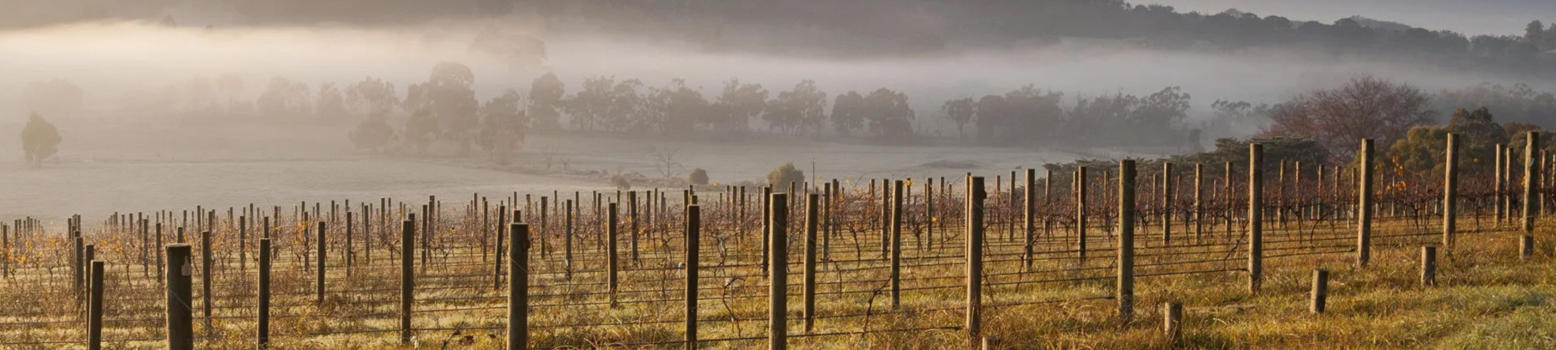 James Morrison cover