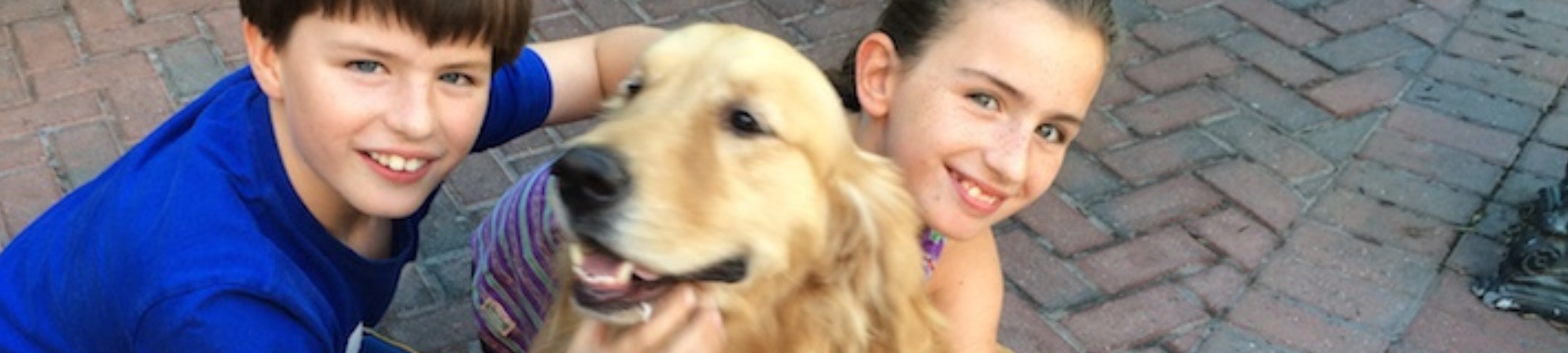 Michelle House cover