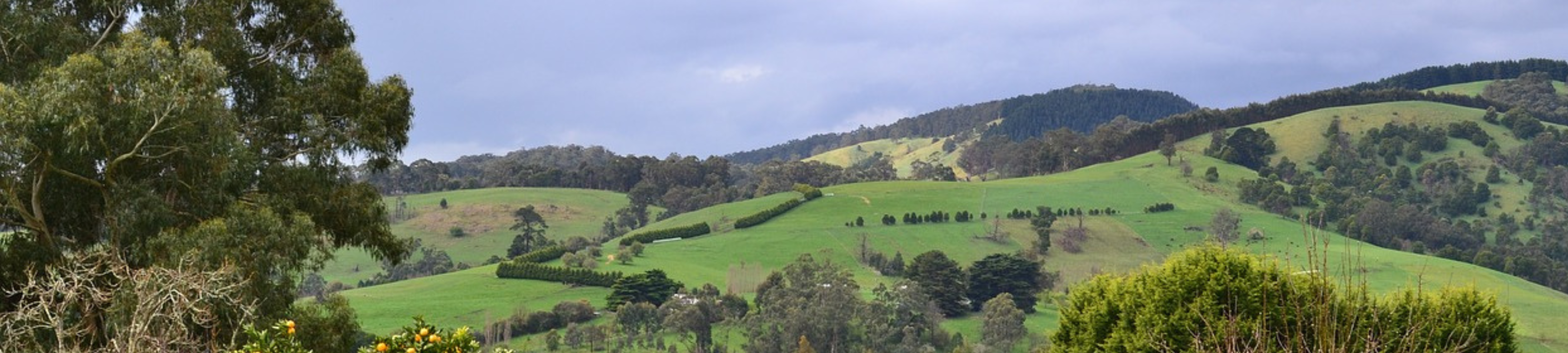 Christine J Shanahan - Davine Shanahan Fitzpatrick & Associates cover