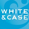 White & Case Mentee