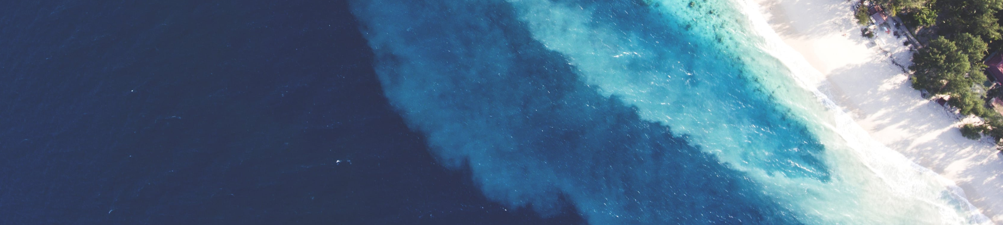 Jennifer Harris cover