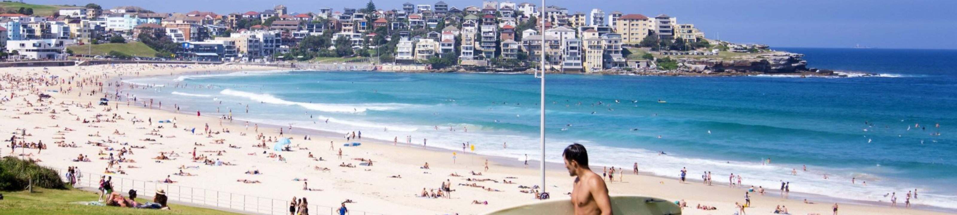 Diana Perla and Associates cover