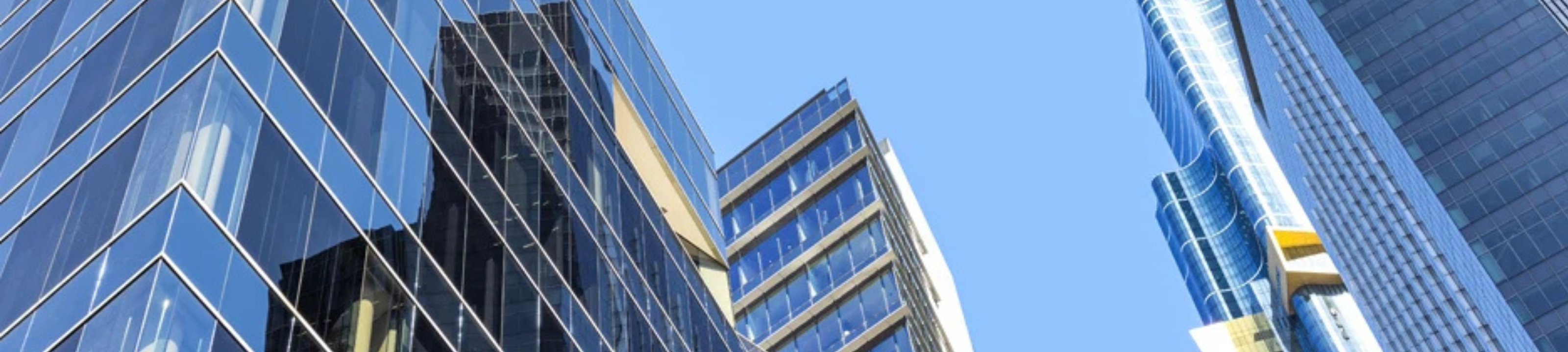 Blair McNamara cover