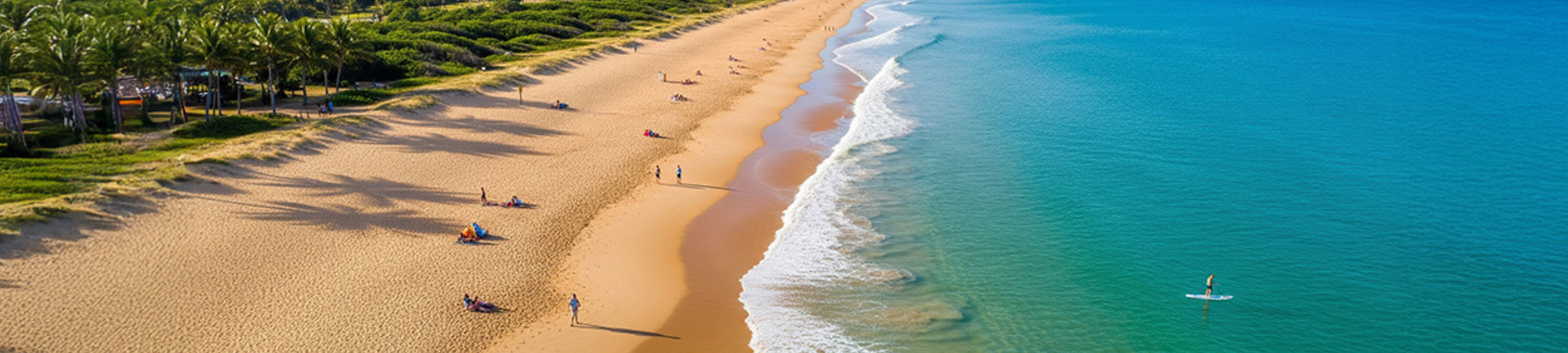 Aaron Sellentin cover