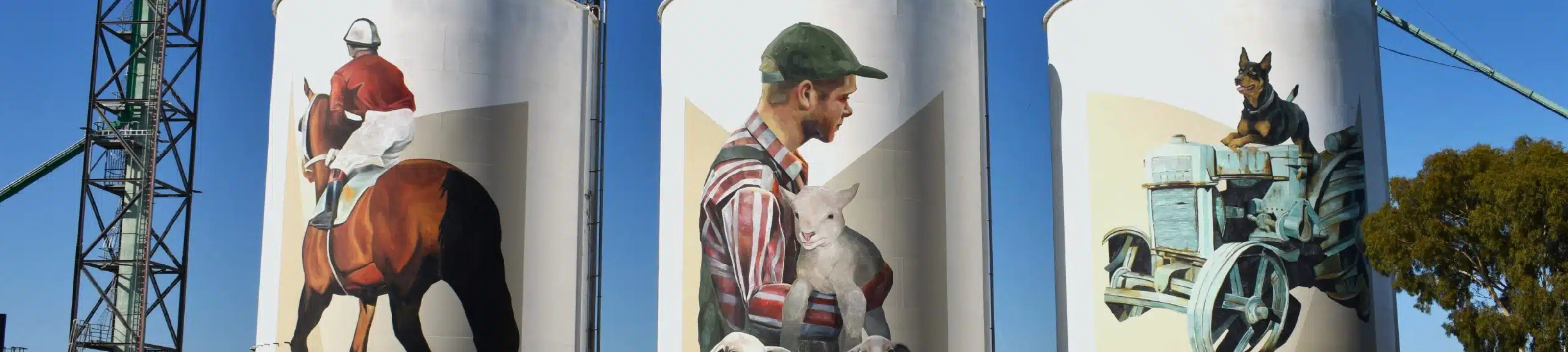 Bernadette Terry cover